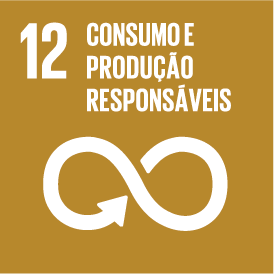 ODS 12
